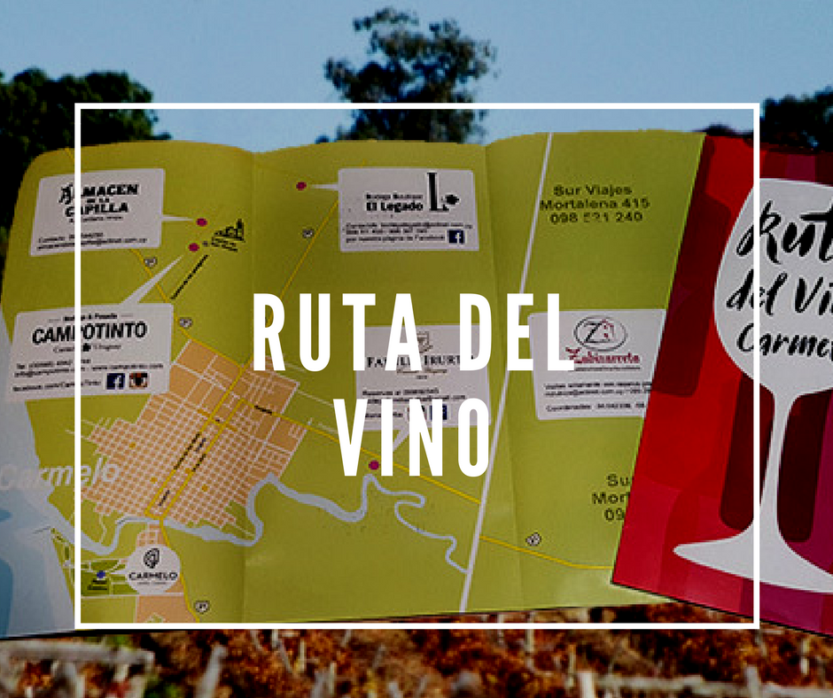 Ruta del vino